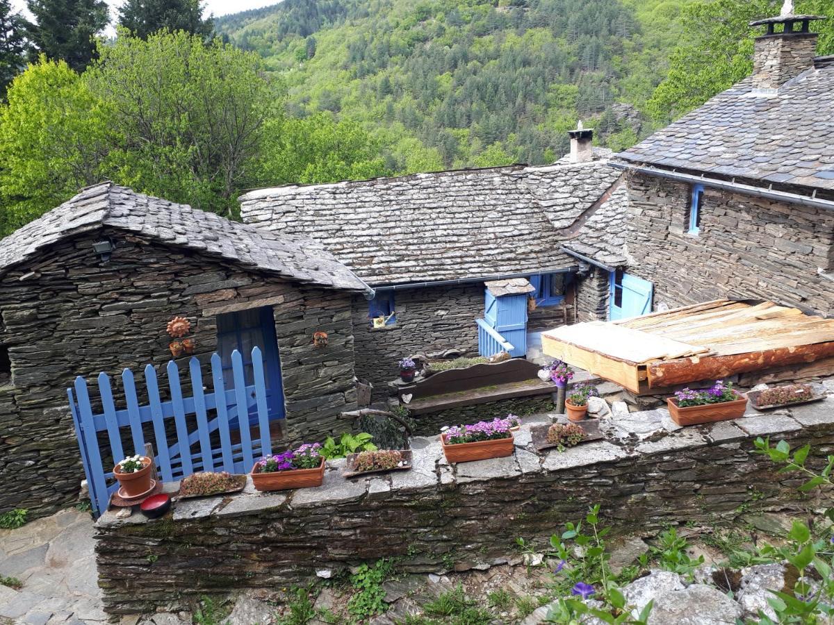 Saint-Germain-de-Calberte Lou Cabanis 빌라 외부 사진